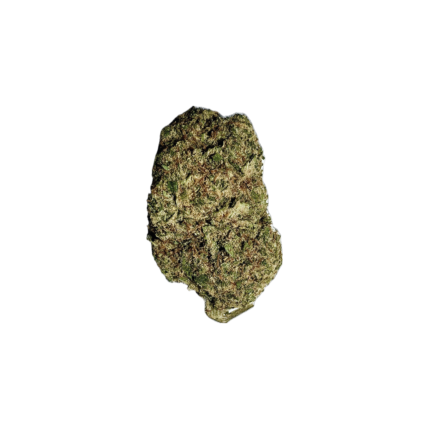 APPLE FRITTER
