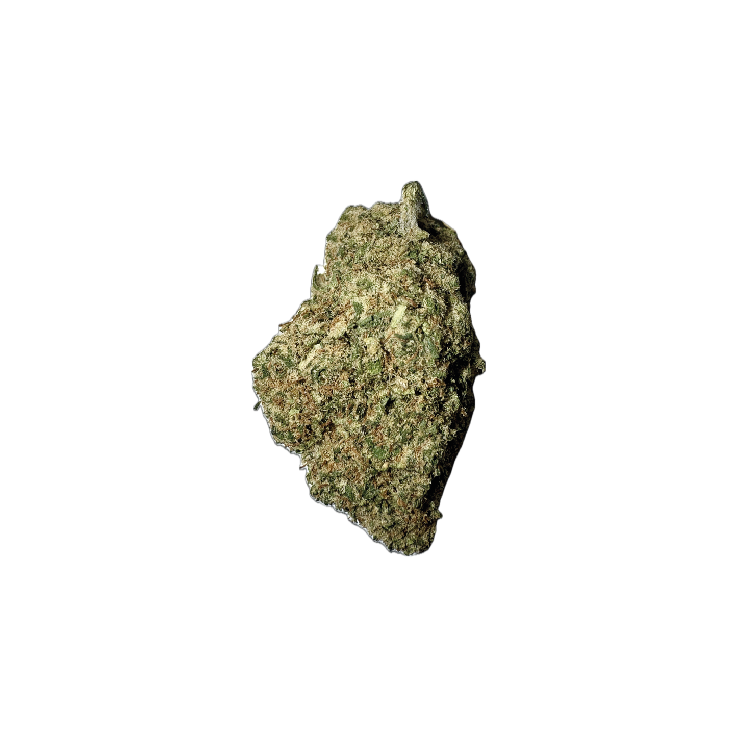 GELATO COOKIE