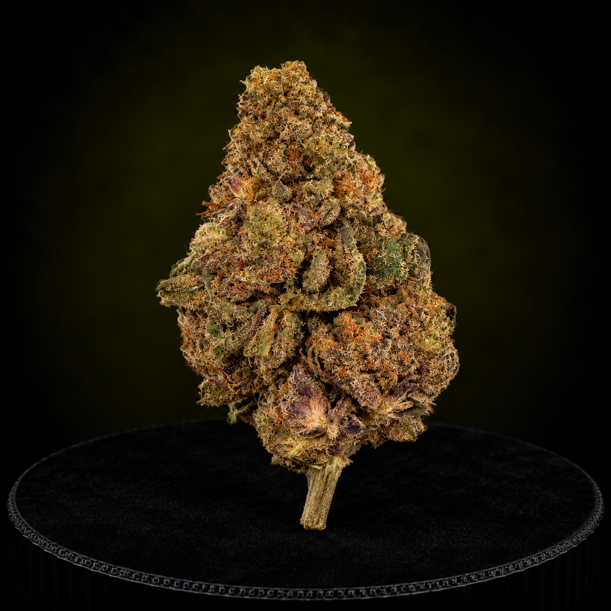 GRAPE SODA CBD US