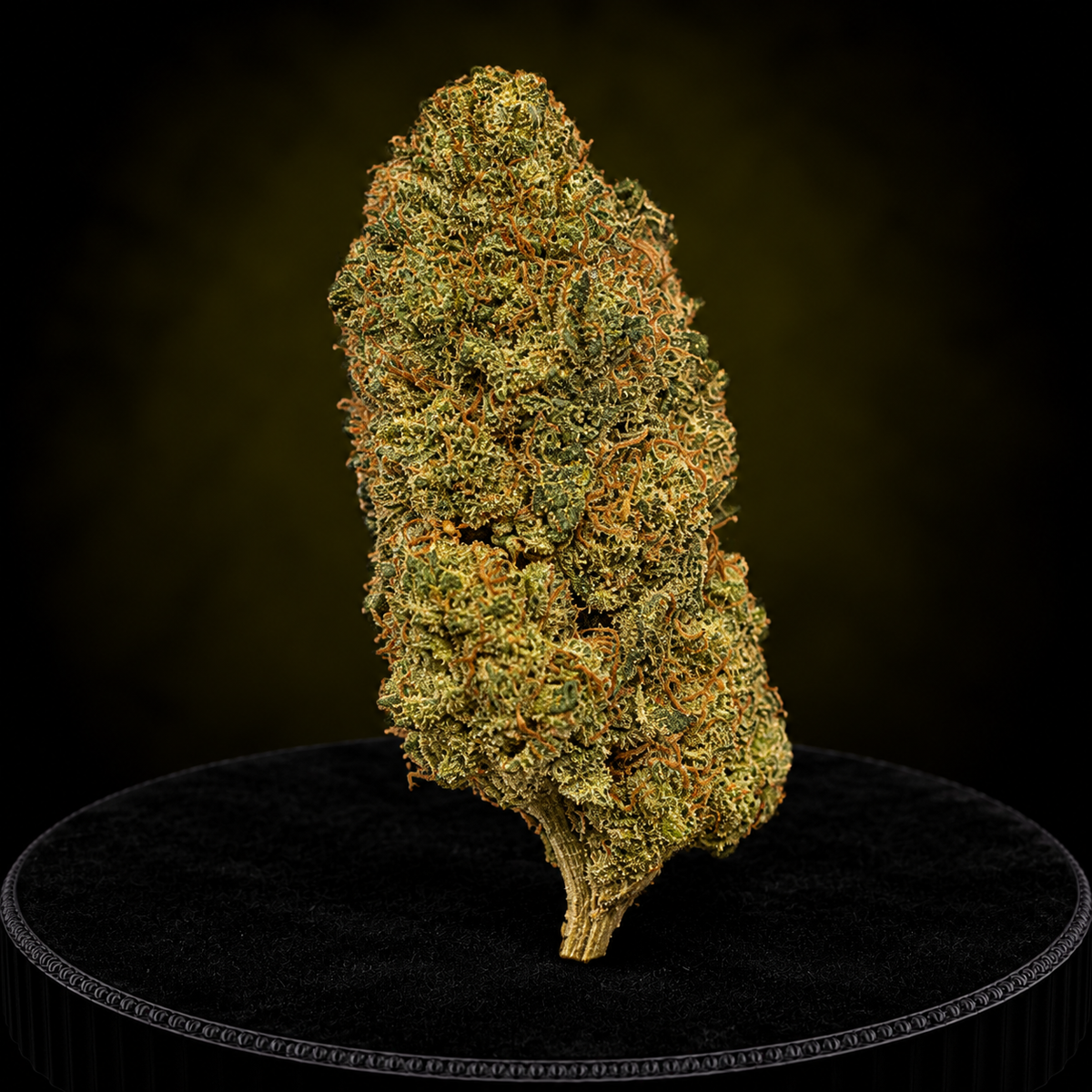 PINK PARADISE NL1 40%