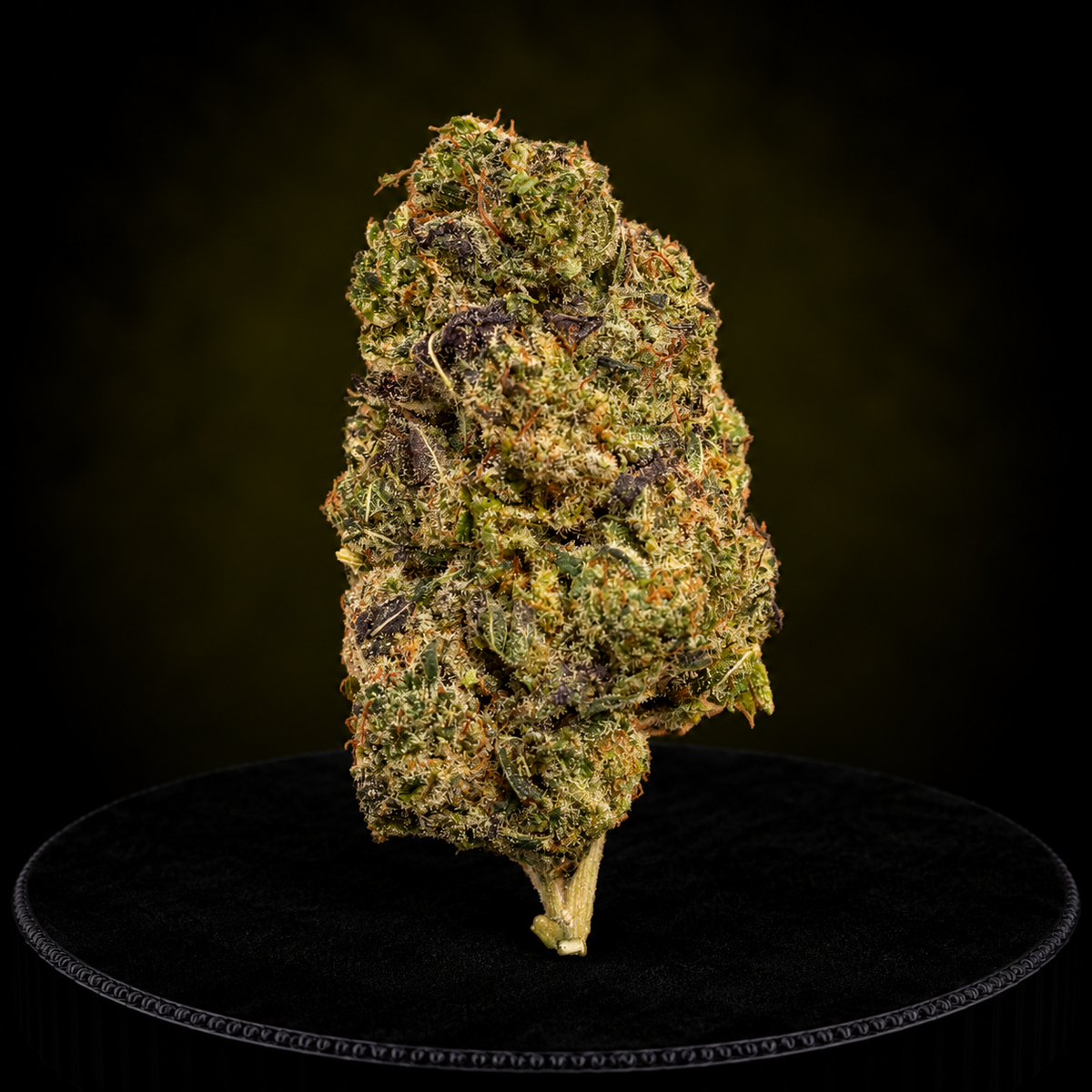 BLUE ZUSHI NL1 40%