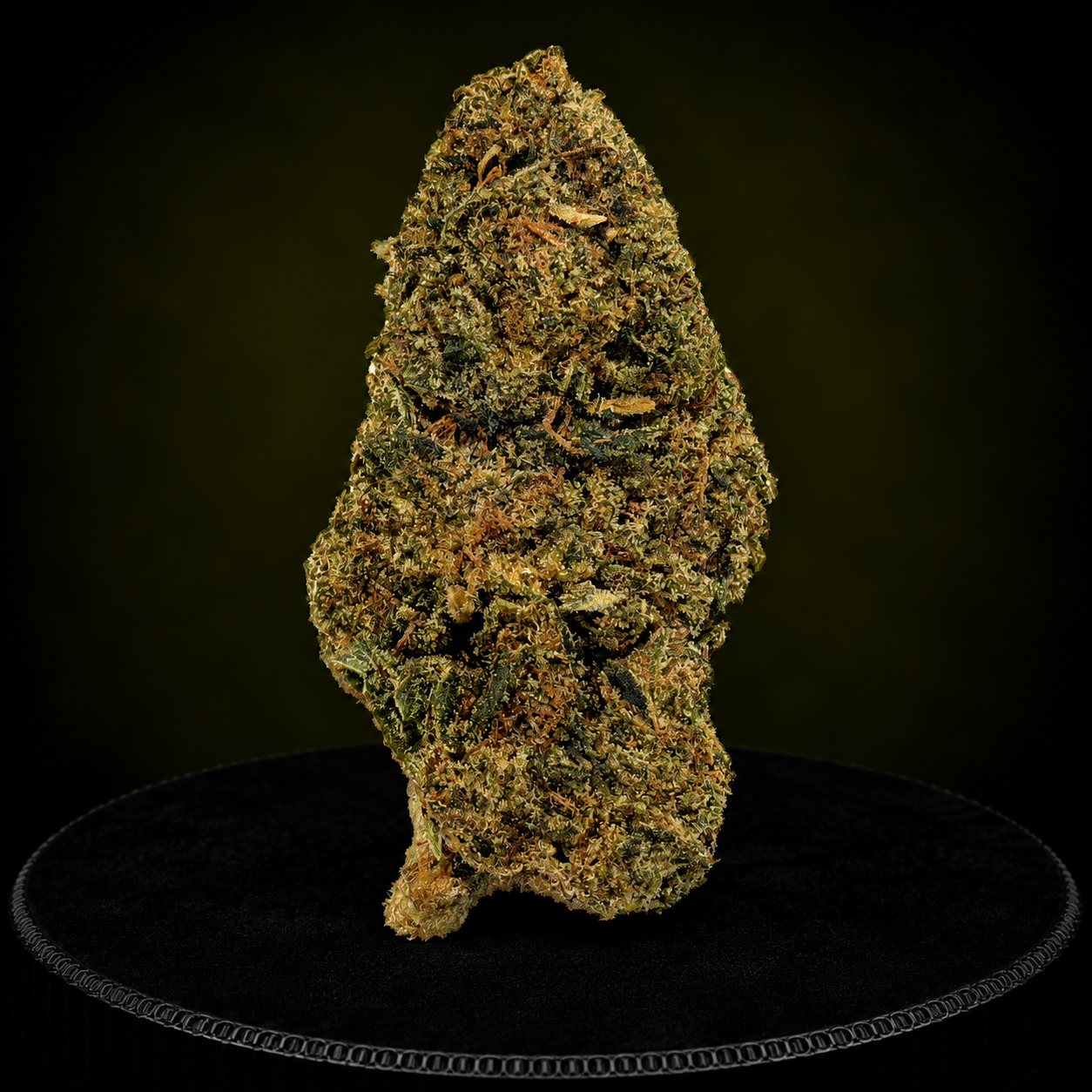 PAPAYA NL1 40%