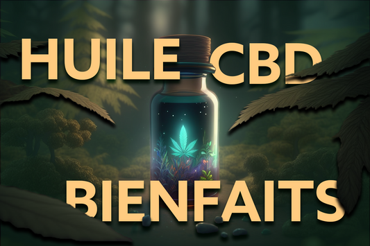 BIENFAITS HUILE CBD