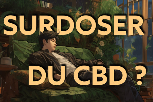 CBD et surdosage : peut-on faire une overdose de CBD ?