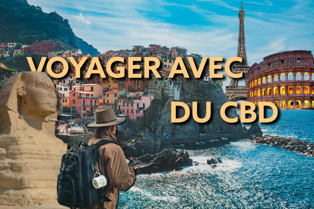 Voyager Avec Du CBD : Guide Complet Pour Les Voyageurs