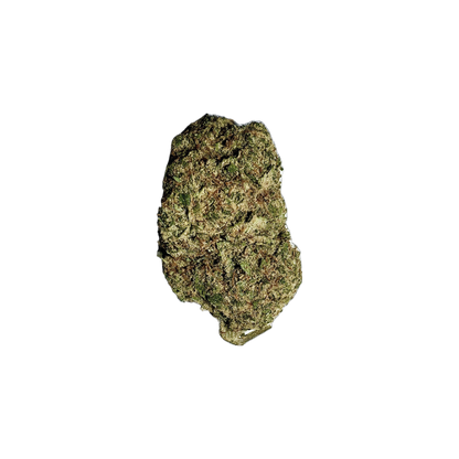 APPLE FRITTER