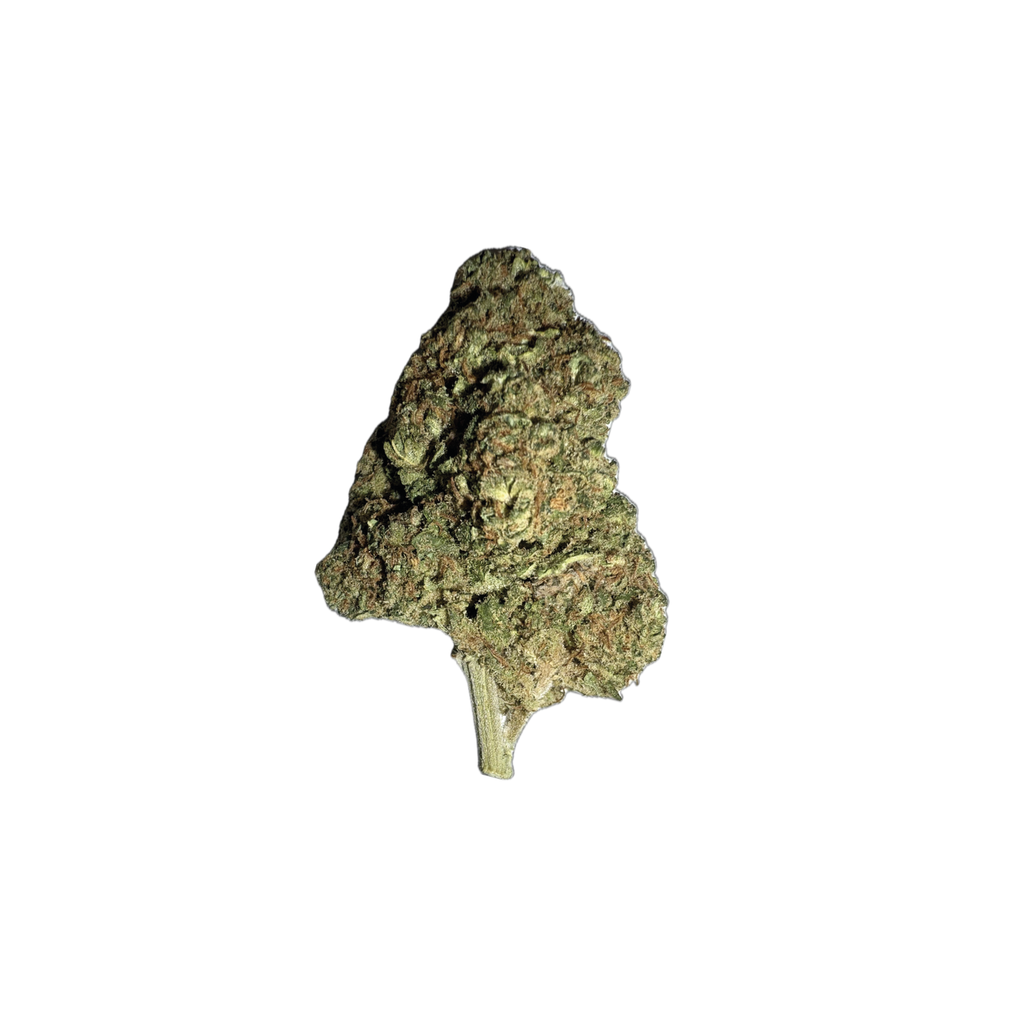 MALABAR
