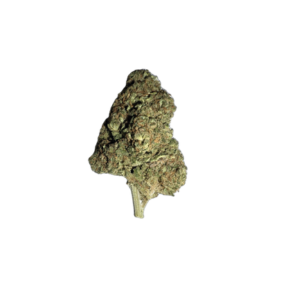 MALABAR