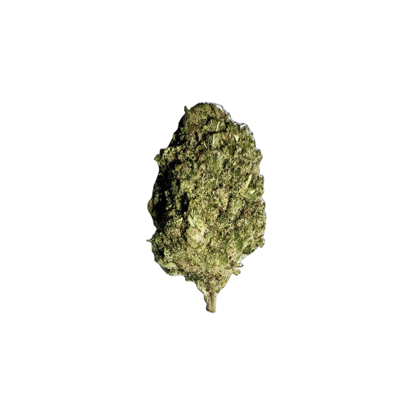 TROPICAL HAZE