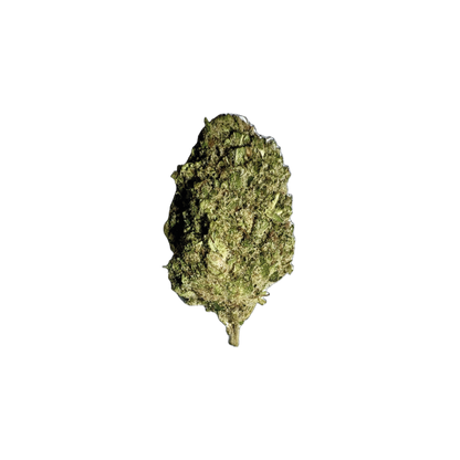 TROPICAL HAZE