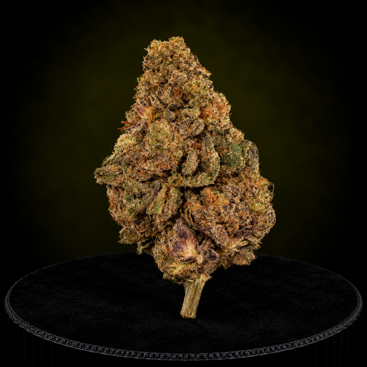 GRAPE SODA CBD US