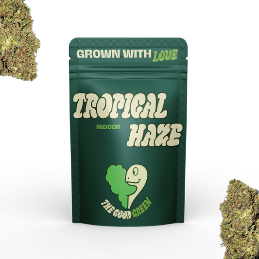 TROPICAL HAZE