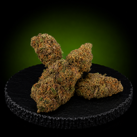 BLOOD ORANGE DIESEL US