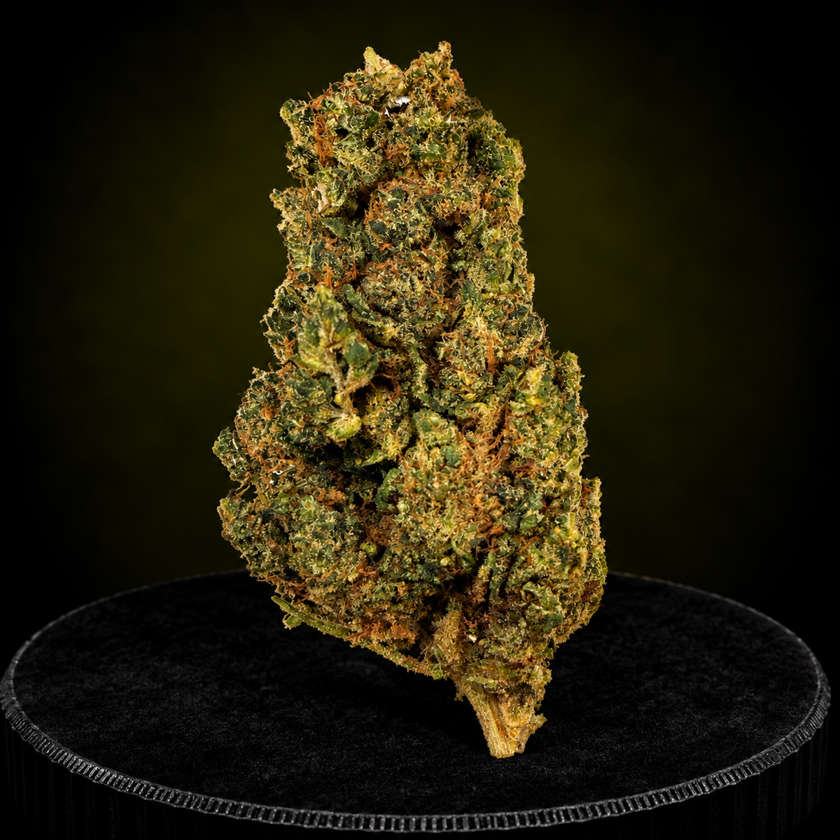 PLUTONIUM NL1 40%
