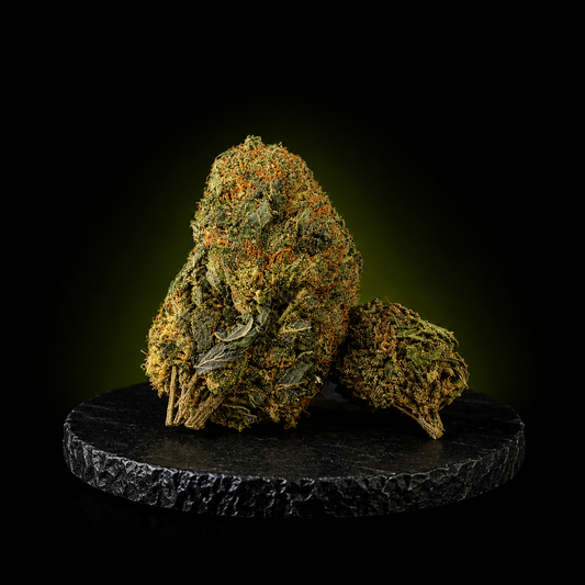 ROYAL OG NL1