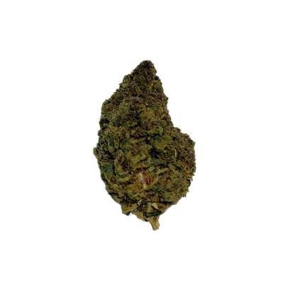 SAPHIR KUSH