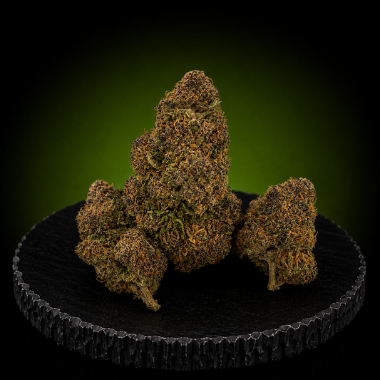 SAPHIR KUSH NL1