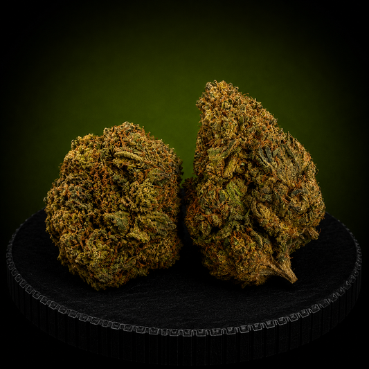BANANA CREAM NL1