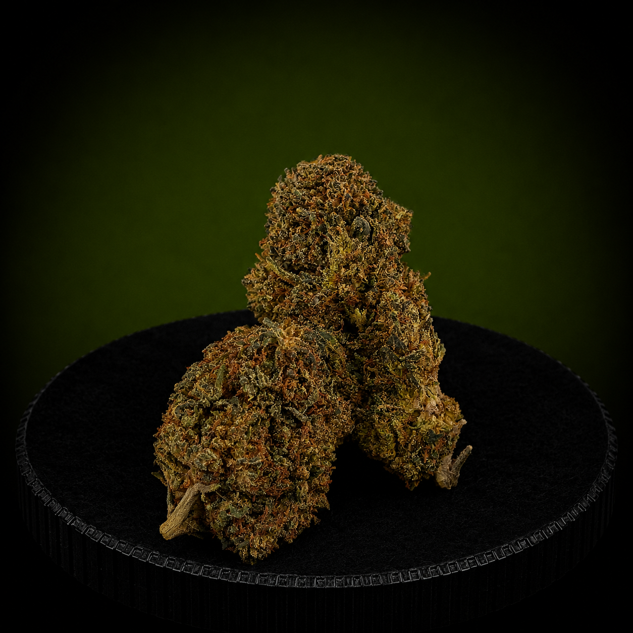 JACK HERER NL1