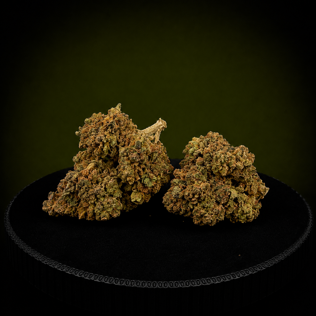MANGO NL1 40%