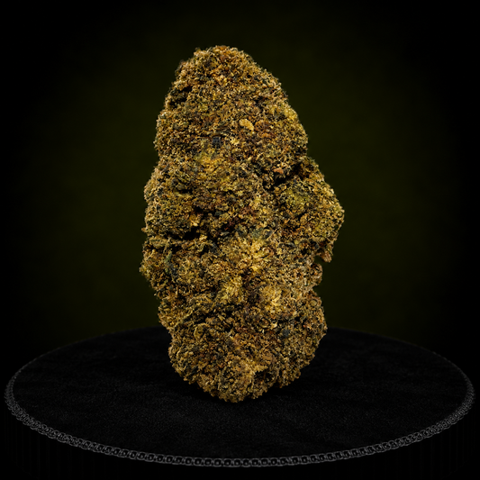 MANGO NL1 40%