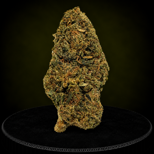 PAPAYA NL1 40%